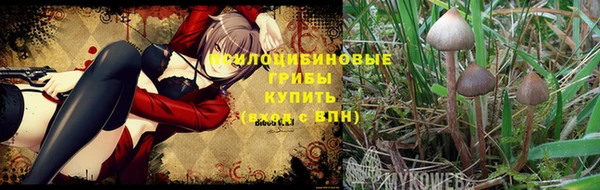 MDMA Premium VHQ Михайлов