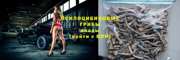 mdpv Михайловск