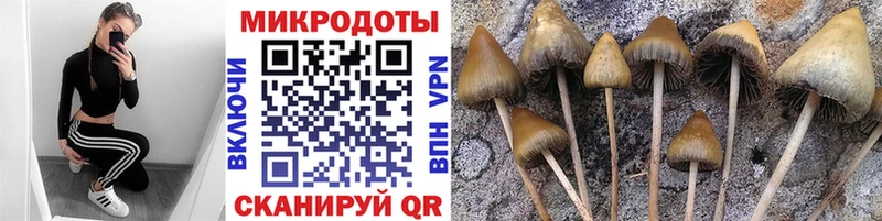 Галлюциногенные грибы мухоморы Хадыженск